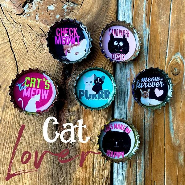 Perrrfect! Cat Lover Magnet Pack - Momma's Secret Cupboard