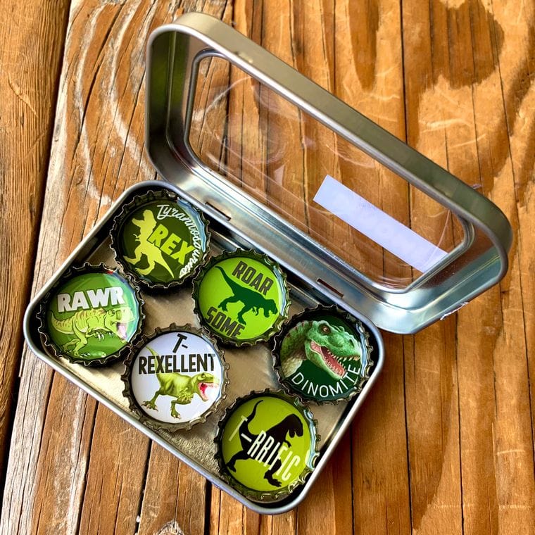 T-REX MAGNET SET - Momma's Secret Cupboard